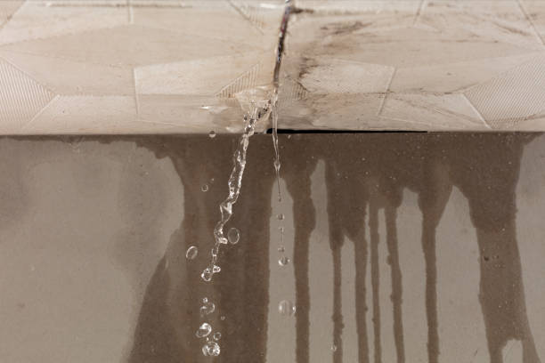 Professional Structural Drying technician working in Snover, MI